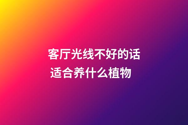 客厅光线不好的话 适合养什么植物